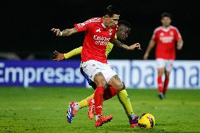 I Liga : FC Arouca vs SL Benfica