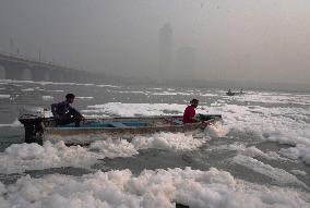 Toxic Foam Covers India's Yamuna River