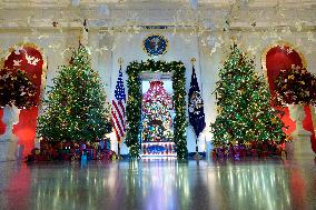 White House Holiday Decor Preview - Washington