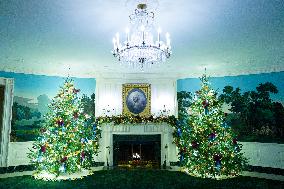 White House Holiday Decor Preview - Washington