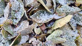 Cold And Frosty Morning On Toronto