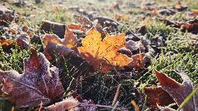 Cold And Frosty Morning On Toronto