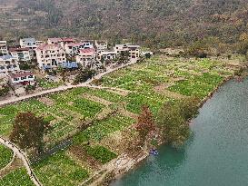 A Rural Vegetable Base in Guizhou