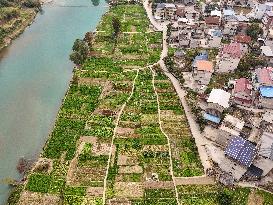 A Rural Vegetable Base in Guizhou