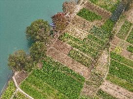 A Rural Vegetable Base in Guizhou