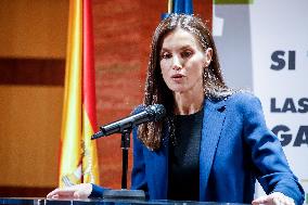 Queen Letizia At A Day Of Disability Event - Madrid