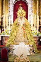 The Virgin of the Macarena receives the Golden Rose