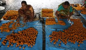 "Laddu", A Ball-shaped Sweet Workshop Of West Bengal''Outskirts Of Kolkata, India