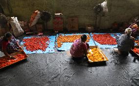 "Laddu", A Ball-shaped Sweet Workshop Of West Bengal''Outskirts Of Kolkata, India