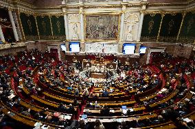 Questions to the government at the National Assembly - Paris