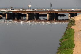 Oued El Harrache, A Project That Is Part Of The Urban And Environmental Transformation Plan Of Algiers