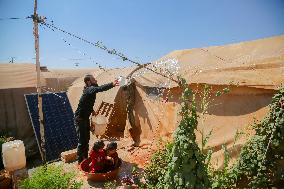 Al-Tah Camp For The Displaced - Idlib