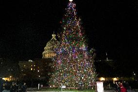 Capitol Christmas Tree Lighting Ceremony - Washington