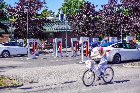 Daily Life In Vaxjo, Sweden