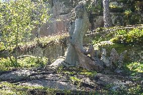 Trolls Sculpture Park In Gamleby, Sweden