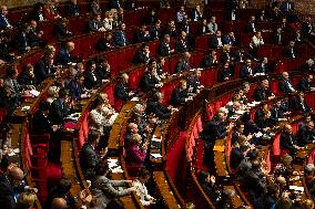 Questions To The French Government At The National Assembly