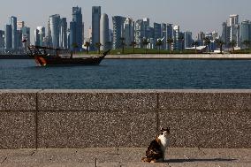 Daily Life In Qatar