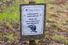 Papioru ponds struggling with beavers