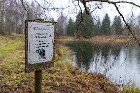 Papioru ponds struggling with beavers