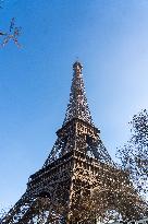 The Eiffel Tower In Pictures - Paris