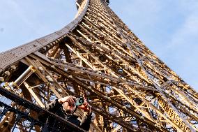 The Eiffel Tower In Pictures - Paris