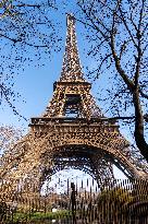 The Eiffel Tower In Pictures - Paris