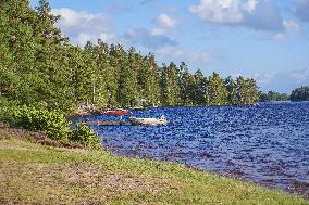 Moose Park In Markaryd, Sweden