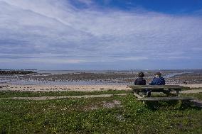 Daily Life In Esbjerg, Denmark