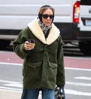 Chloe Sevigny Steps Out - NYC