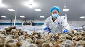 Crabs Export in Suqian