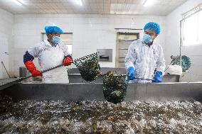 Crabs Export in Suqian