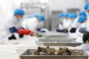 Crabs Export in Suqian