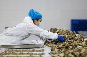 Crabs Export in Suqian