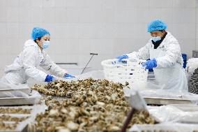 Crabs Export in Suqian