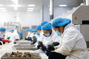 Crabs Export in Suqian