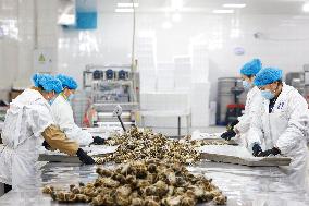 Crabs Export in Suqian