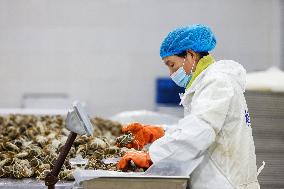 Crabs Export in Suqian