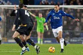 Everton FC v Wolverhampton Wanderers FC - Premier League