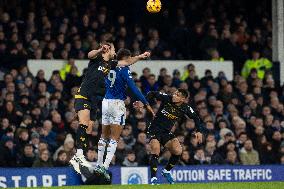 Everton FC v Wolverhampton Wanderers FC - Premier League