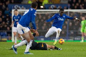 Everton FC v Wolverhampton Wanderers FC - Premier League