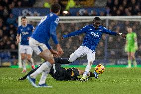 Everton FC v Wolverhampton Wanderers FC - Premier League