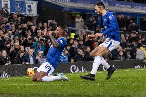 Everton FC v Wolverhampton Wanderers FC - Premier League