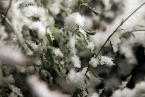 First Significant Snowfall Of The Season In Toronto, Canada