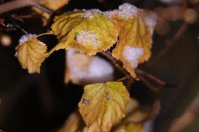 First Significant Snowfall Of The Season In Toronto, Canada