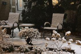 First Significant Snowfall Of The Season In Toronto, Canada