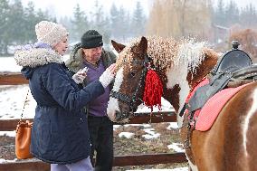 Hutsulyk Hutsul Pony Centre in Kosiv