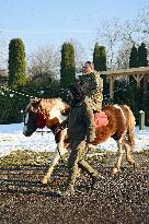 Hutsul ponies help with rehabilitation of Ukrainian military