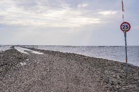 Daily Life In Mando, Denmark