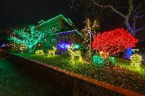 The Dyker Heights Christmas Lights 2024