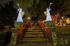 The Dyker Heights Christmas Lights 2024